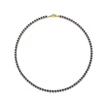 GS-N1C1-FX09-02 - GBAN