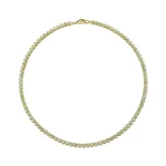 GS-N1C1-FX10-02 - GBAN