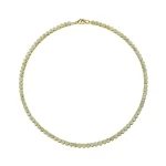 GS-N1C1-FX10-02 - GBAN