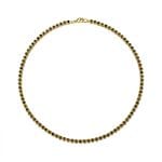 GS-N1C1-FX13-02 - GBAN