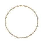 GS-N1C1-FX14-02 - GBAN