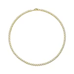 GS-N1C1-FX15-02 - GBAN