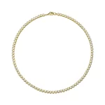 GS-N1C1-FX15-02 - GBAN