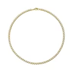 GS-N1C1-FX16-02 - GBAN