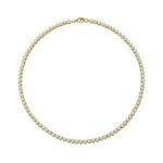 GS-N1C1-FX16-02 - GBAN