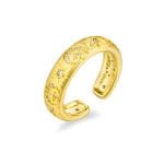 GS-R2C1-FX01-02 - GBAN